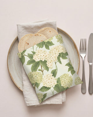 Tortillero Hydrangea